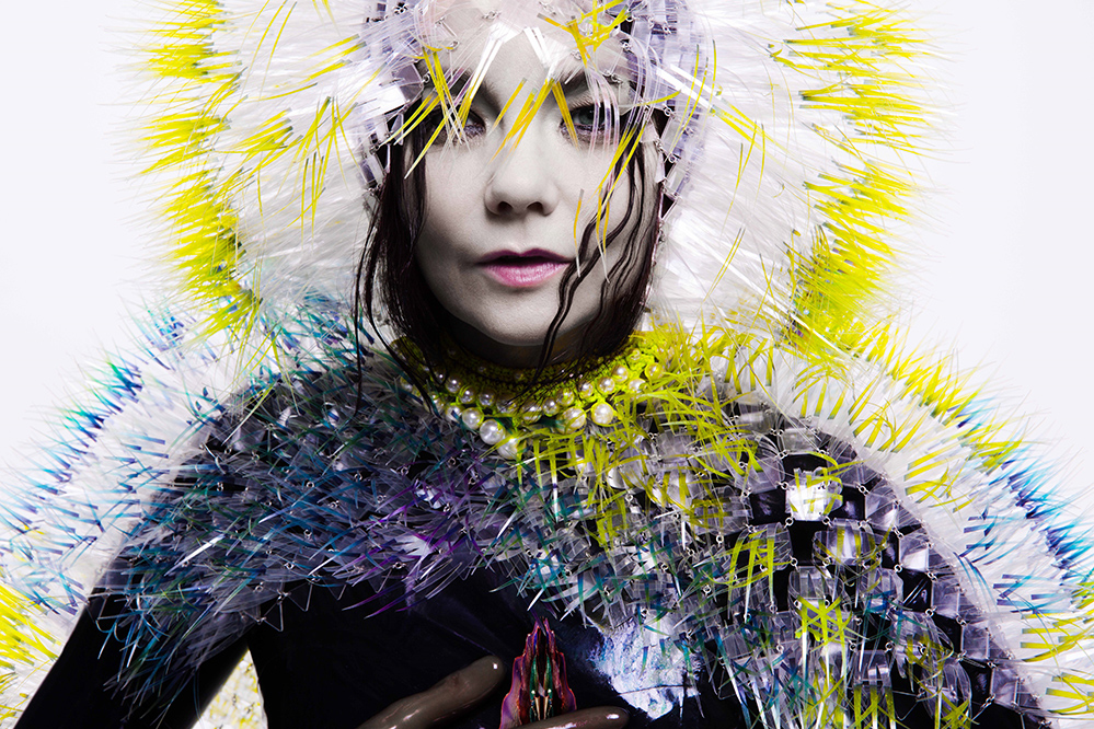 Album art for Björk's 'Vulnicura' (Courtesy of Somerset House)